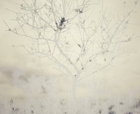 Attrape Nuages 040