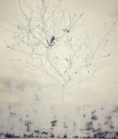 Attrape Nuages 040