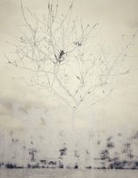 Attrape Nuages 040