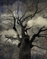 Attrape Nuages 041