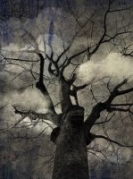 Attrape Nuages 042