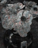 Bouquet 2