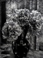 Bouquet pivoines