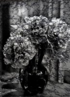 Bouquet pivoines