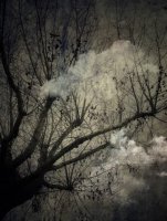 Attrape Nuages 013
