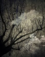 Attrape Nuages 013