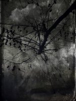 Attrape Nuages 014