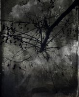 Attrape Nuages 014