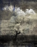 Attrape Nuages 016