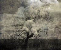 Attrape Nuages 016