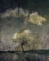 Attrape nuage et or