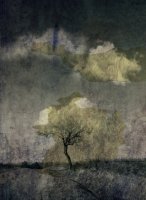 Attrape nuage et or