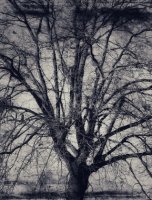 Attrape nuages 010