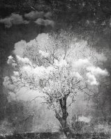 Attrape Nuage 26