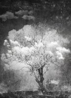 Attrape Nuages 028