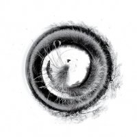 Tourbillon 11