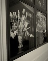Appartement 4