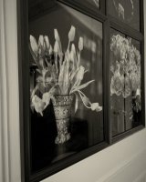 Appartement 4