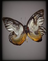 PAPILLON 7