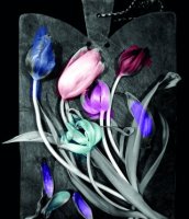 Planche tulipe