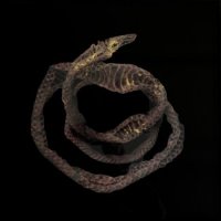 Serpent